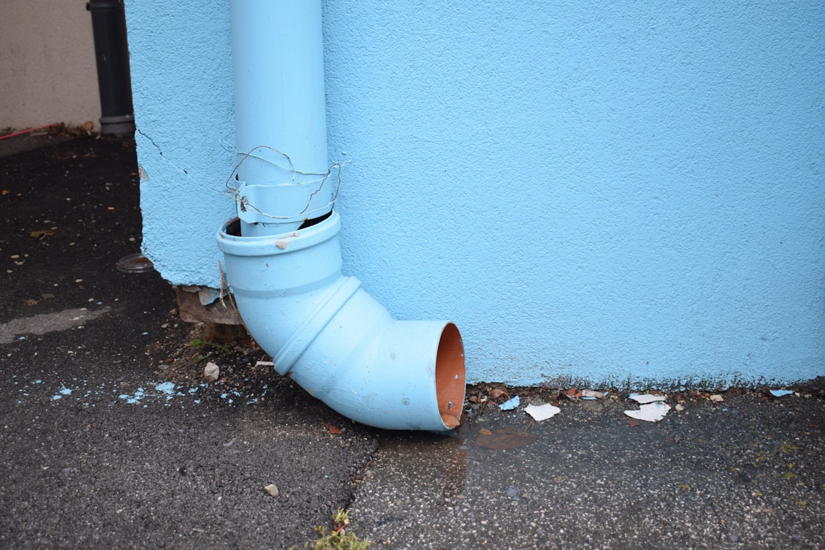 Storm Damage Repair service in Palm Harbor, FL