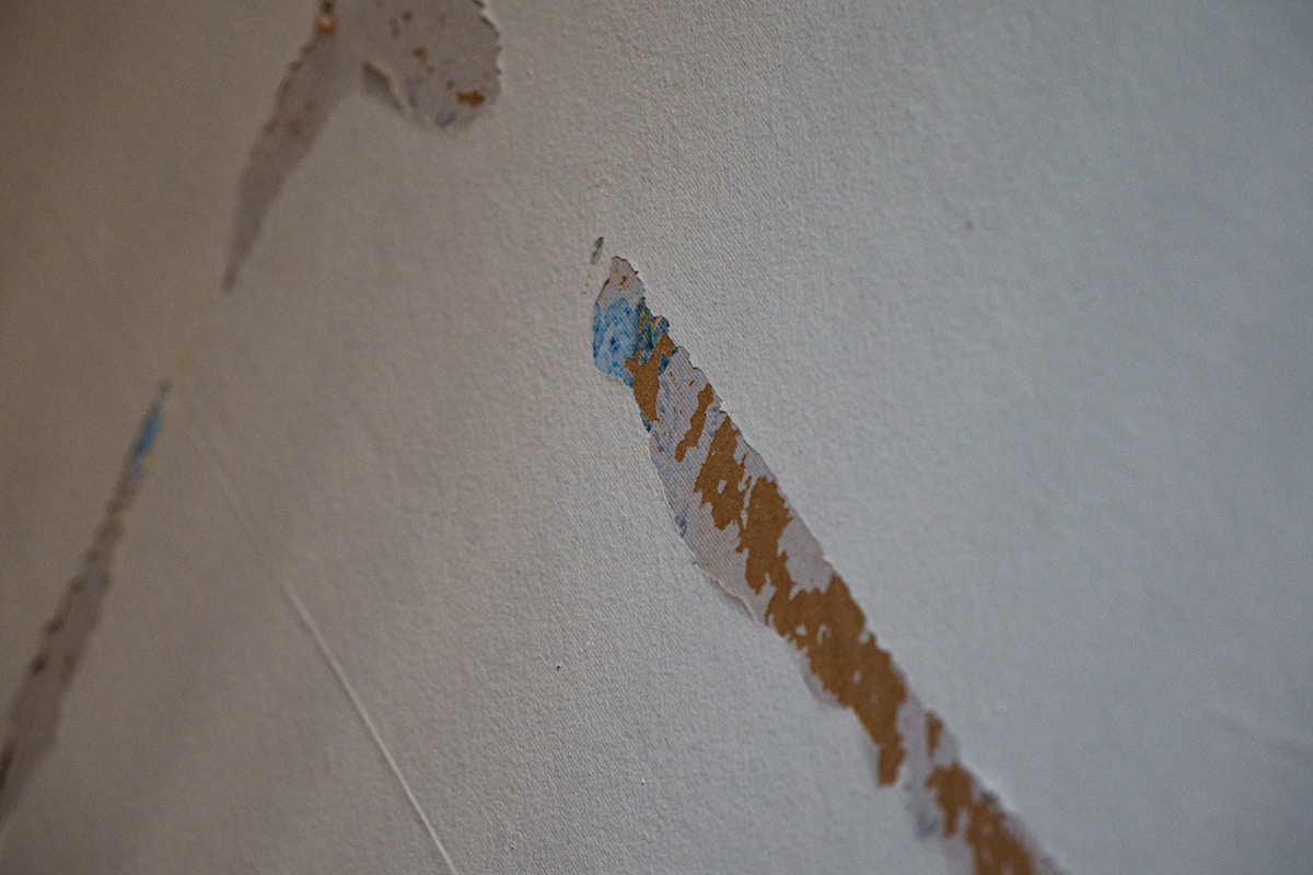 Commercial Water Damage service in Palm Harbor, FL